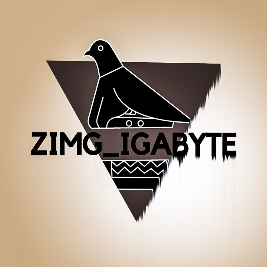 ZimG_igabyte